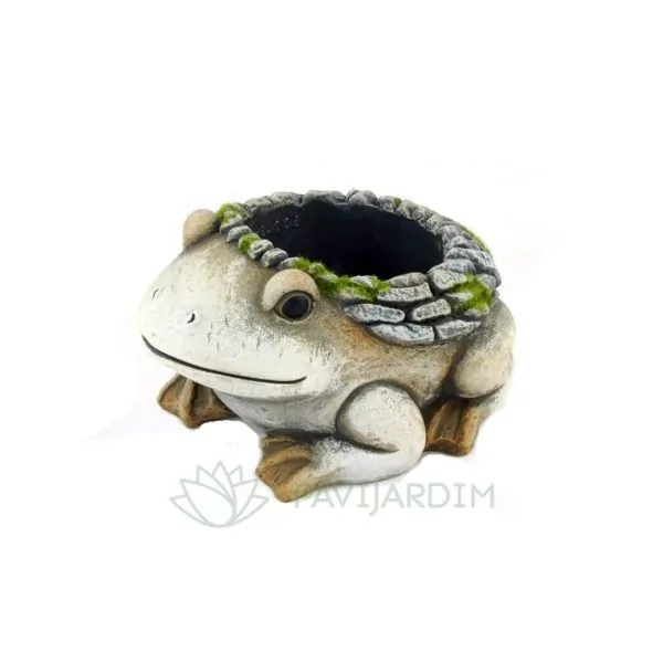 A067 sapo pedra musgo