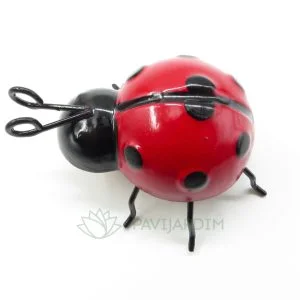 Joaninha Mini