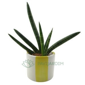 Vaso Ceramica Amarelo