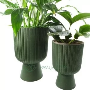 VasoForm EcoVerde