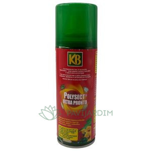 Spray Polyset Ultra Pronto