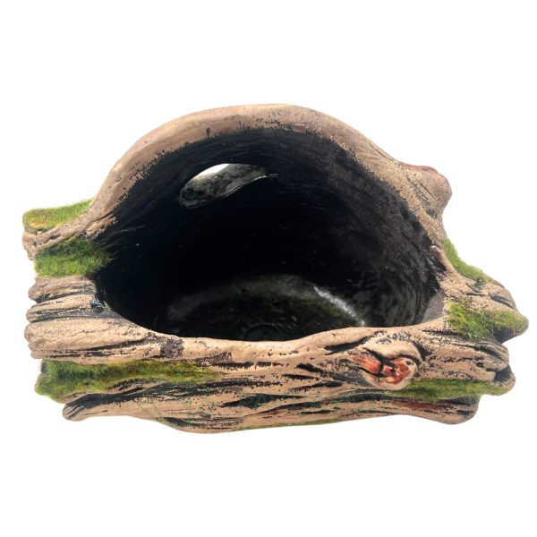 Vaso Raiz com Musgo Plantação Vaso Raiz com Musgo Plantação