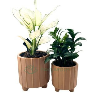 Duo Cerâmico Terracota Ondulada