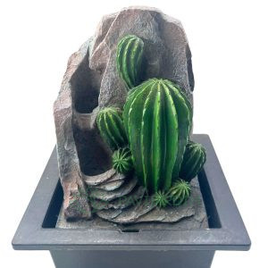 Fonte Decorativa com Cactos