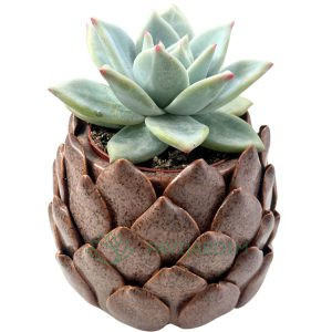 Vaso Cerâmica Alcachofra