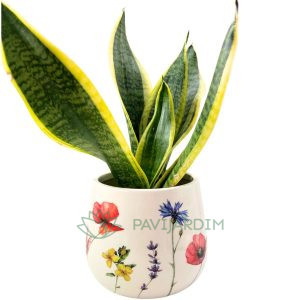 Vaso Cerâmico Floral