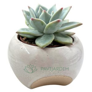 Vaso Cerâmico Orgânico Branco