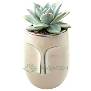 Vaso Cerâmico Rosto Zen