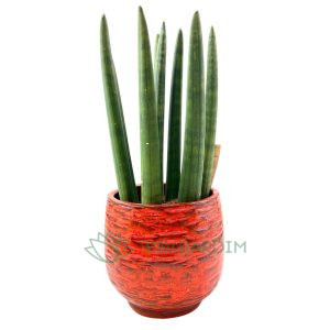 Vaso Cerâmico Rústico Esmaltado